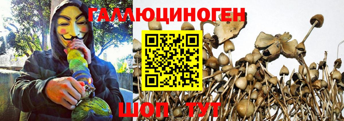 Псилоцибиновые грибы мухоморы  Вход с VPN  Псилоцибиновые грибы Psilocybe  Курган 